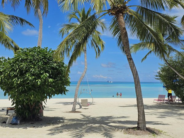 Quel est le prix d'entrée pour visiter le zoo de Thoiry?