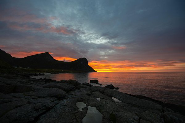 Le Zoo de Beauval : Quand a-t-il ouvert ses portes ?