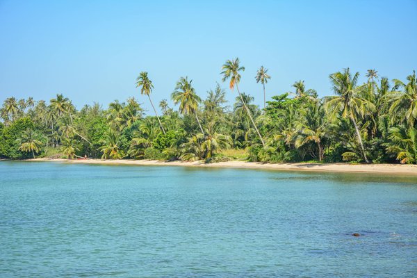 Pourquoi le Jardin d'Acclimatation est-il gratuit ?